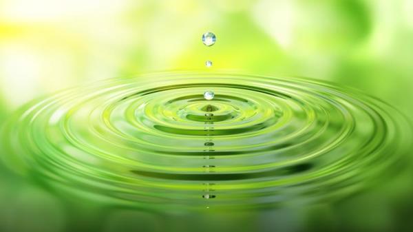 實驗研究了人類光靠意念是否可以影響水的特性。