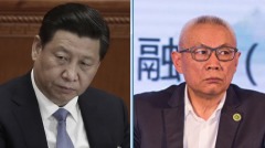 传习近平内部讲话：任志强背后一定有人(图)