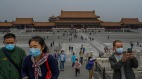 為了「病毒的起源」我和父母吵了一架(圖)