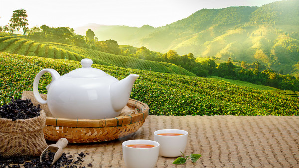 通过饮茶不仅仅能够以茶会友，同时还能够起到静心养生的作用。
