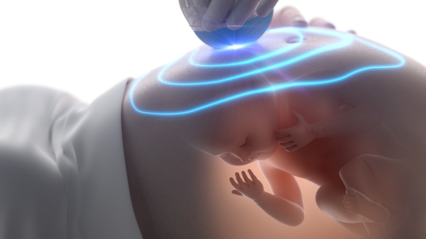 在子宮內的胎兒可以把自己的幹細胞送到媽媽的受損器官中來治癒它們