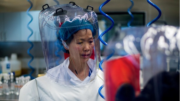 武汉病毒所新发传染病研究中心主任石正丽（图片来源：JOHANNES EISELE/AFP/Getty Images）