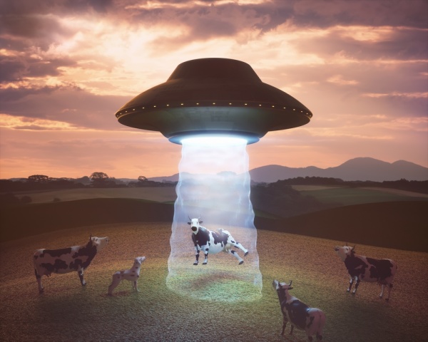 牛隻被「外星人」劫持的神祕現象
