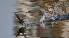 我可以抱一下你吗(组图)