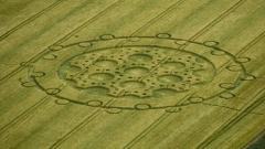 神秘“麦田圈”给人类的启示(组图)