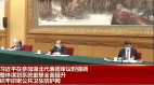 湖北省長王曉東滿頭白髮露面令人吃驚(組圖)