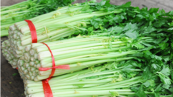 芹菜是医治黄疸病的有效偏方。