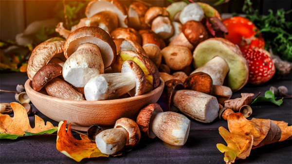 調理月經，可多食用香菇、鮮蘑菇等蔬菜。