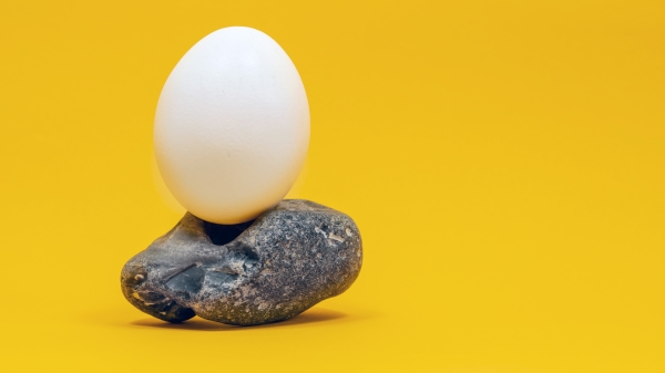 鸡蛋和石头能在一起吗？