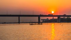 兄弟俩白天正常晚上却变成“植物人”(图)