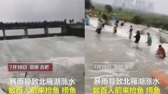不要命安徽水位暴漲數百人湖口冒險抓魚(視頻圖)