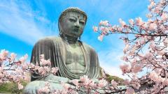 福建高僧禅定中游历“西方极乐世界”(组图)