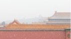 庚子年北京竟飘六月雪(图)