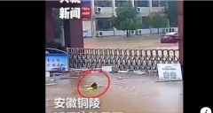 央视播交警“游泳”视察学校却穿帮了(图)