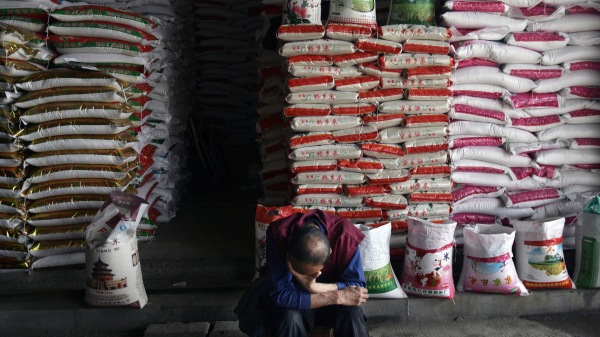 中国社会科学院近日发表的一篇报告，暴露了中国存在的巨大粮食缺口。