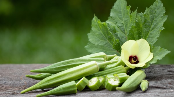 秋葵素有“蔬菜之王”的美誉，营养丰富且口感爽滑，每年的5-8月是秋葵生产旺季。