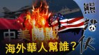【熊貓俠】「萬一中美開戰你支持誰」華裔小朋友回答出乎小粉紅意料(視頻)