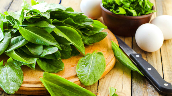 菠菜等绿色蔬菜富含各类维生素、矿物质和各种植物抗氧化成分，能给头发生长提供全面的营养。
