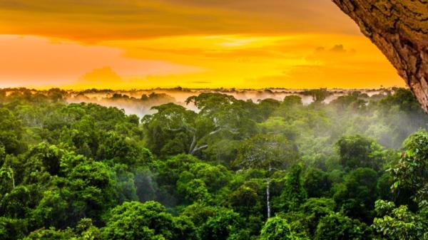相傳在亞馬遜森林深處，曾有一個足以媲美印加古國的「黃金國」。