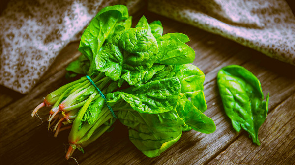 菠菜富含葉黃素和玉米黃質成分，能夠預防老年人的白內障、視網膜黃斑變性。