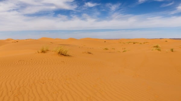 撒哈拉沙漠，曾經有過高度繁榮昌盛的遠古文明。（圖片來源：Adobe Stock）