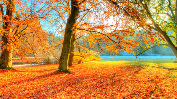 “秋分”是二十四节气之一，每年约莫在公历9月22日至24日之间来临。