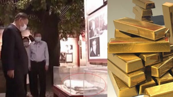 两则新闻对比引起热议，一则是习近平重提半条被子，一则是北京村支书家中搜出31公斤金条和720万现金。