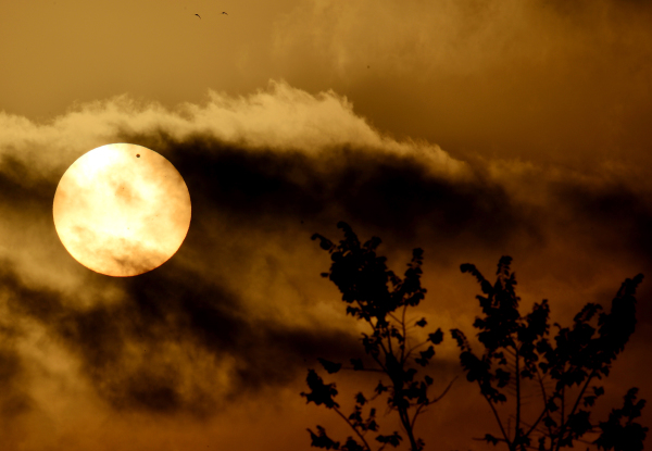2012年6月6日，金星（小黑點）於穿過羅馬天空中的太陽。