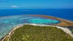 18世紀無人島發現非天然形成水泥柱(圖)