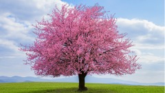 真实灵异故事:天网恢恢疏而不漏(图)