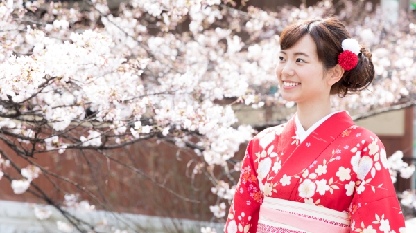 和風美人  日本女人 穿和服的日本女性  1838393042(16:9)