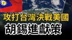 胡锡进向习近平献策：攻打台湾与对决美国小粉红嗨了(视频)