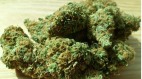 27歲華人涉走私大麻面臨40年監禁(圖)