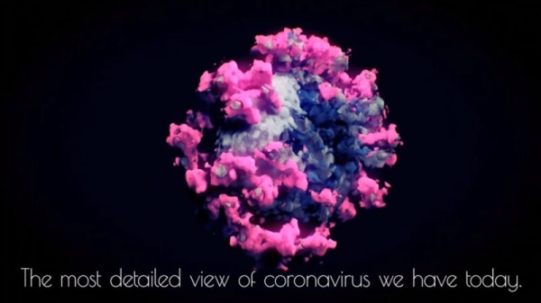 中共病毒 3D影像