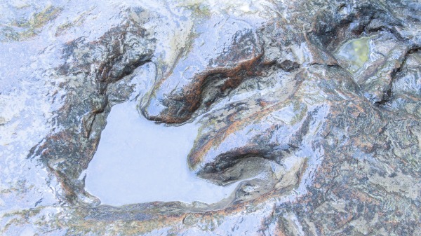 英國4歲女童在威爾斯巴里海灘（Barry beach）發現距今2.2億年前的恐龍腳印化石。