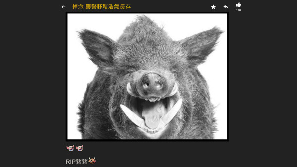 网友在连登讨论区悼念袭警野猪。（图片来源：连登截图）