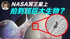 NASA冥王星上拍到超巨大生物(視頻)