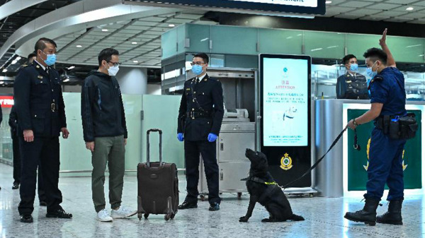 11月19日，香港跨部门反恐专责组在西九龙高铁进行反恐演习。图为香港海关人员连同爆炸品搜查犬搜出含有爆炸品的可疑行李。（图片来源：香港政府新闻处）