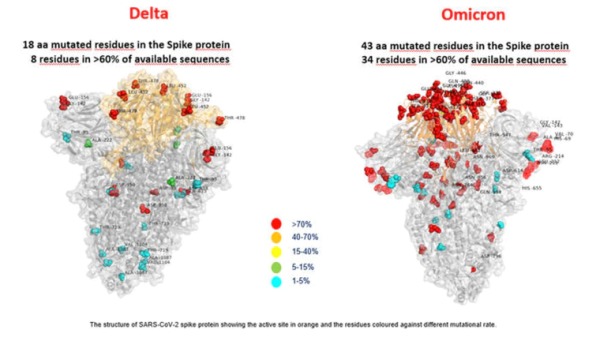 意大利罗马儿童医院科研团队发布了Omicron变异株图片（右），并且与Delta变异株进行比较。