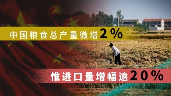中国粮食总产量微增2惟进口量增幅逾20(16:9)