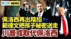 川普將取代佩洛西任衆議院議長