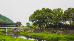 元神离体游地狱七天后居然复活(图)