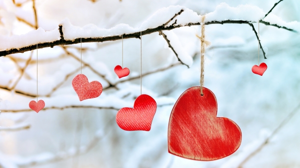 爱心挂在下雪的树枝上
