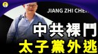 习江疯狂“裸斗”蛤蟆家族和中共太子党携款外逃(视频)
