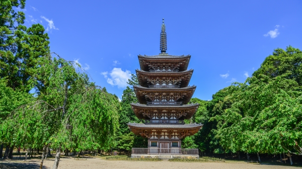 醍醐寺內的五重塔，為京都府內最古老的木造建築。