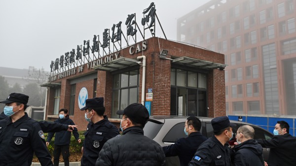 世卫专家调查团于2月3日到访武汉病毒所（图片来源：Getty Images）