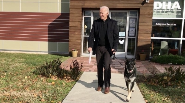 圖為2018年11月17日，拜登從特拉華州人道協會（Delaware Humane Association）正式收養了德國牧羊犬「少校」。（圖片來源：Stephanie Gomez Carter/Delaware Humane Association）