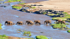 走进非洲坦桑尼亚塞伦盖蒂国家公园（二）(视频)