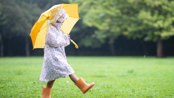 心理测验：雨越下越大你又临时有急事要出门，家中有的四把伞竟然都是坏的！在别无选择的强况下，你会选择带哪一把出门？