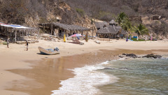 奇怪啦成千上萬的魚兒乖乖躺在海灘上(圖)